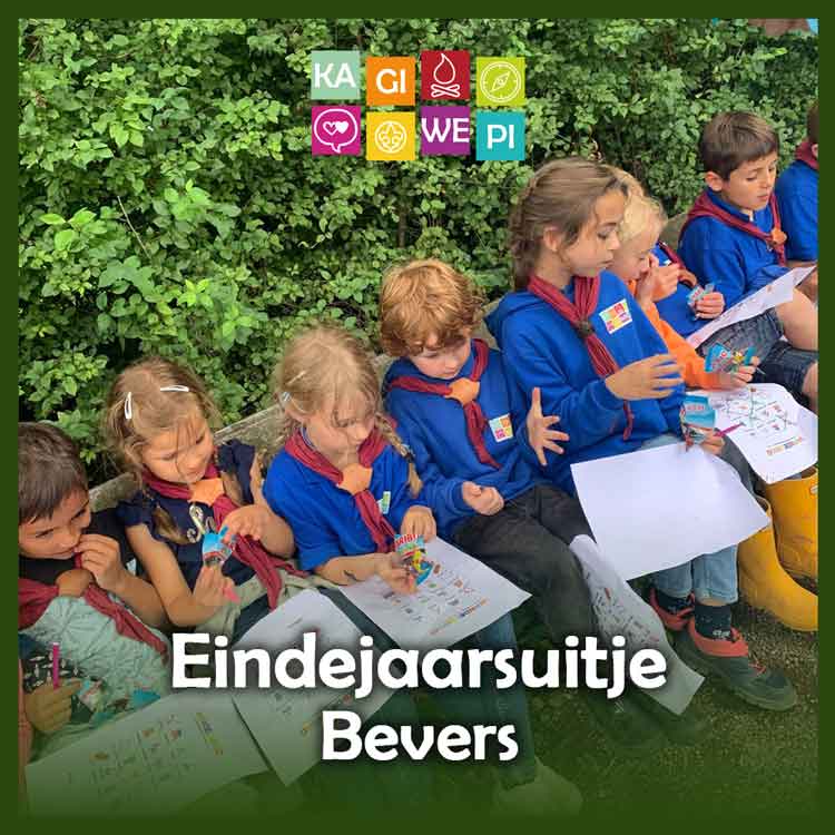 Eindejaarsuitje bevers 2025