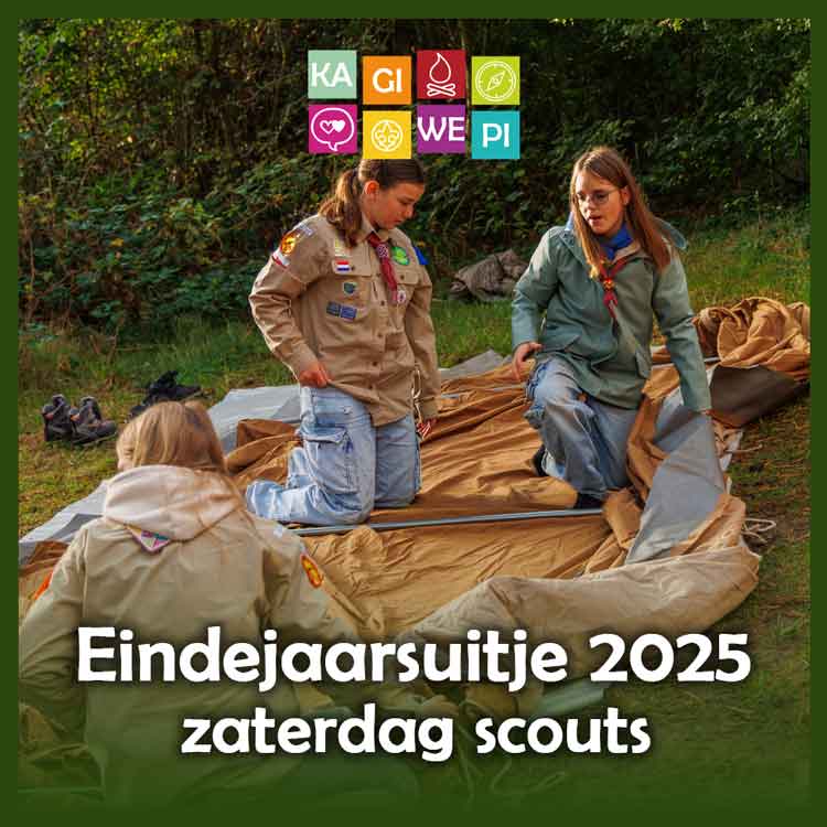 Eindejaarsuitje zaterdag scouts