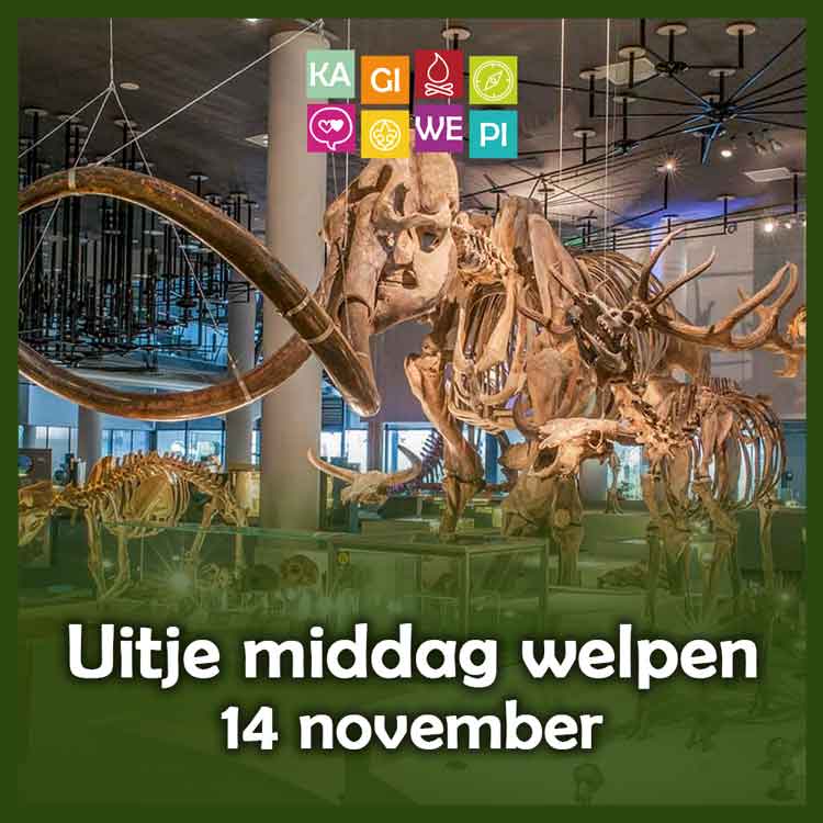 Middag welpen uitje